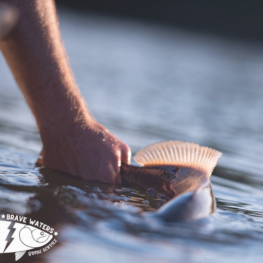 Redfish Adventures: Navigating Choctawhatchee Bay's Rich Waters