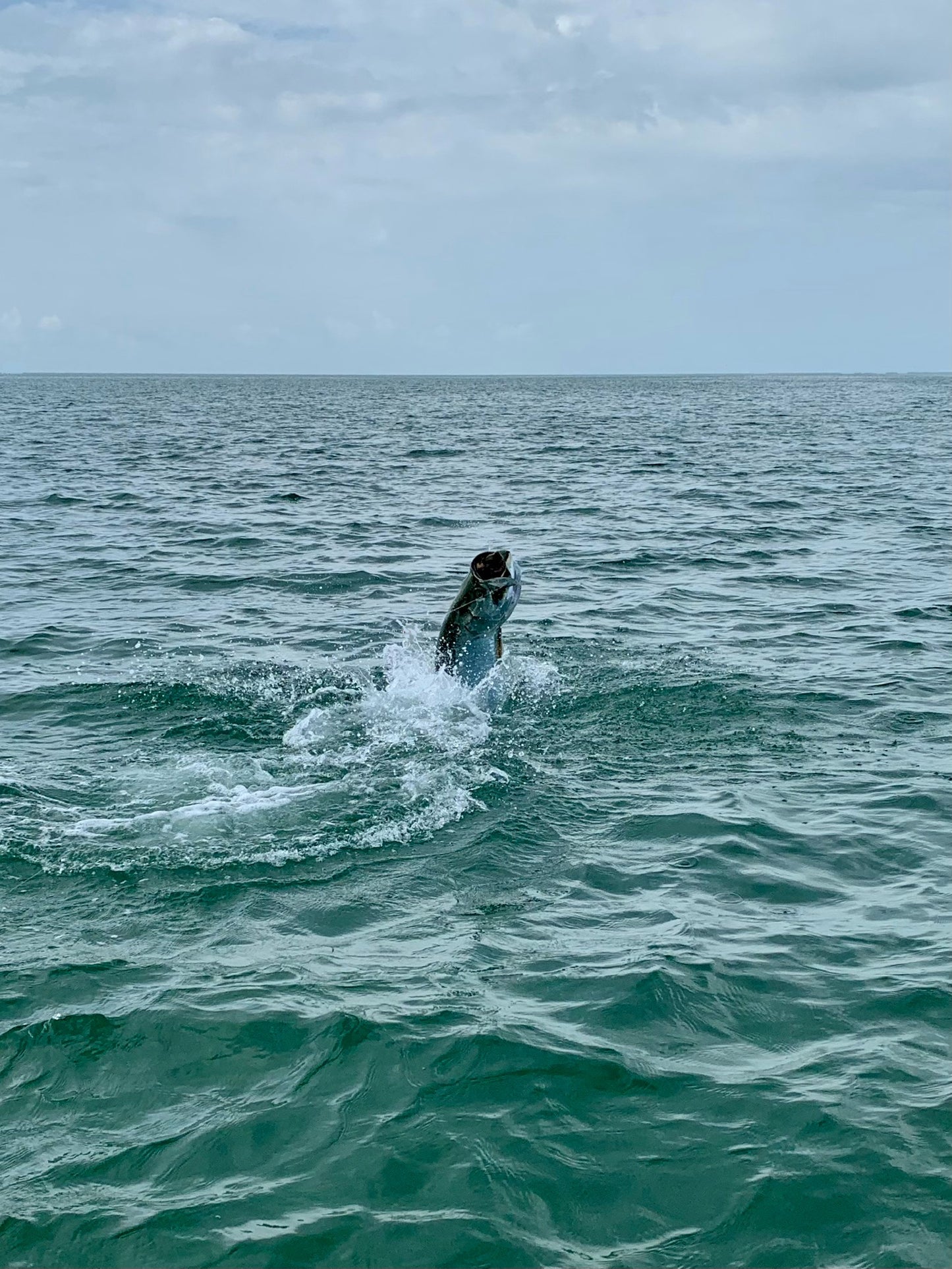 Mexico Beach Fly Fishing trip