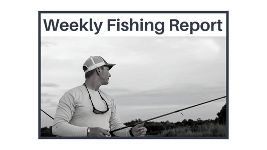 Destin fishing report
